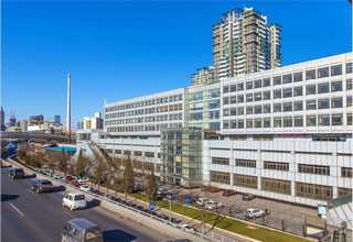 浙江重型800型撕碎机订制价格